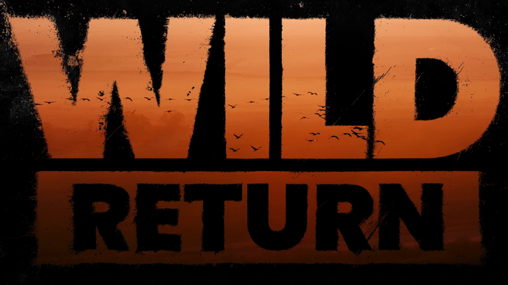 Wild Return 